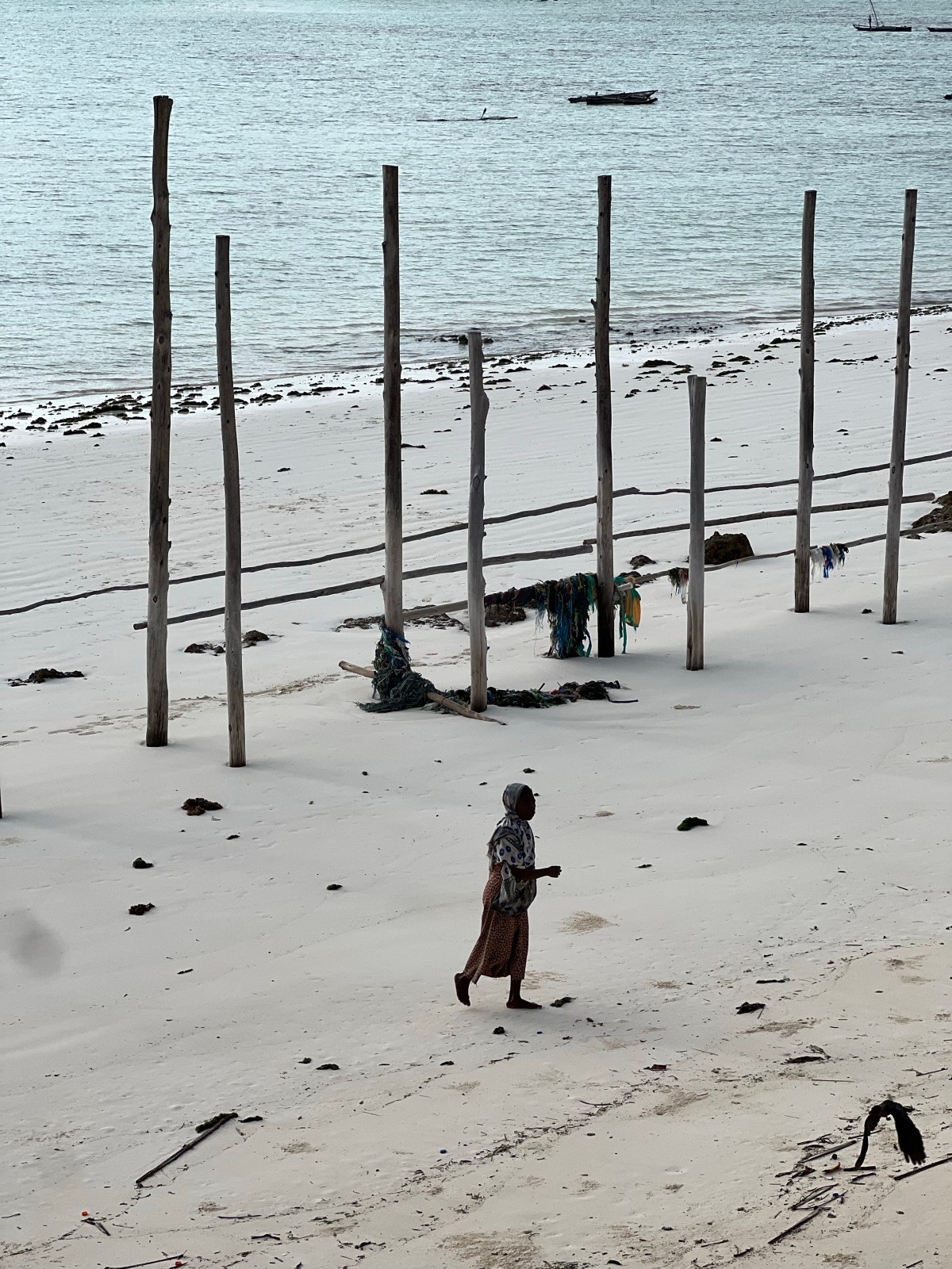 탄자니아 여행기(3) – 사람&nbsp;자본